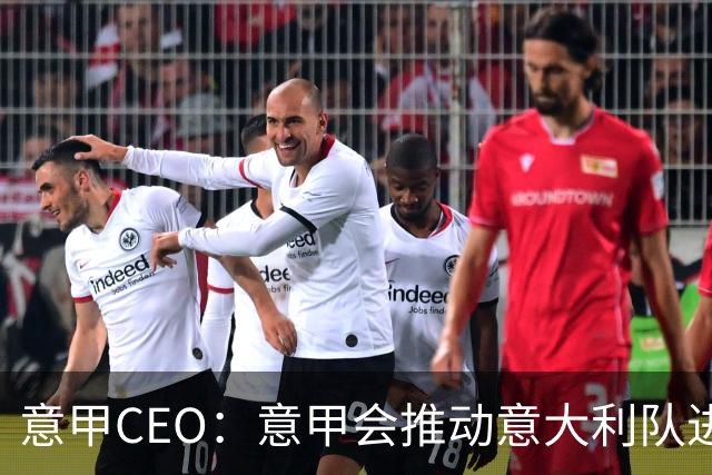 意甲CEO：意甲会推动意大利队进步 国家队低迷原因得追溯到20年前